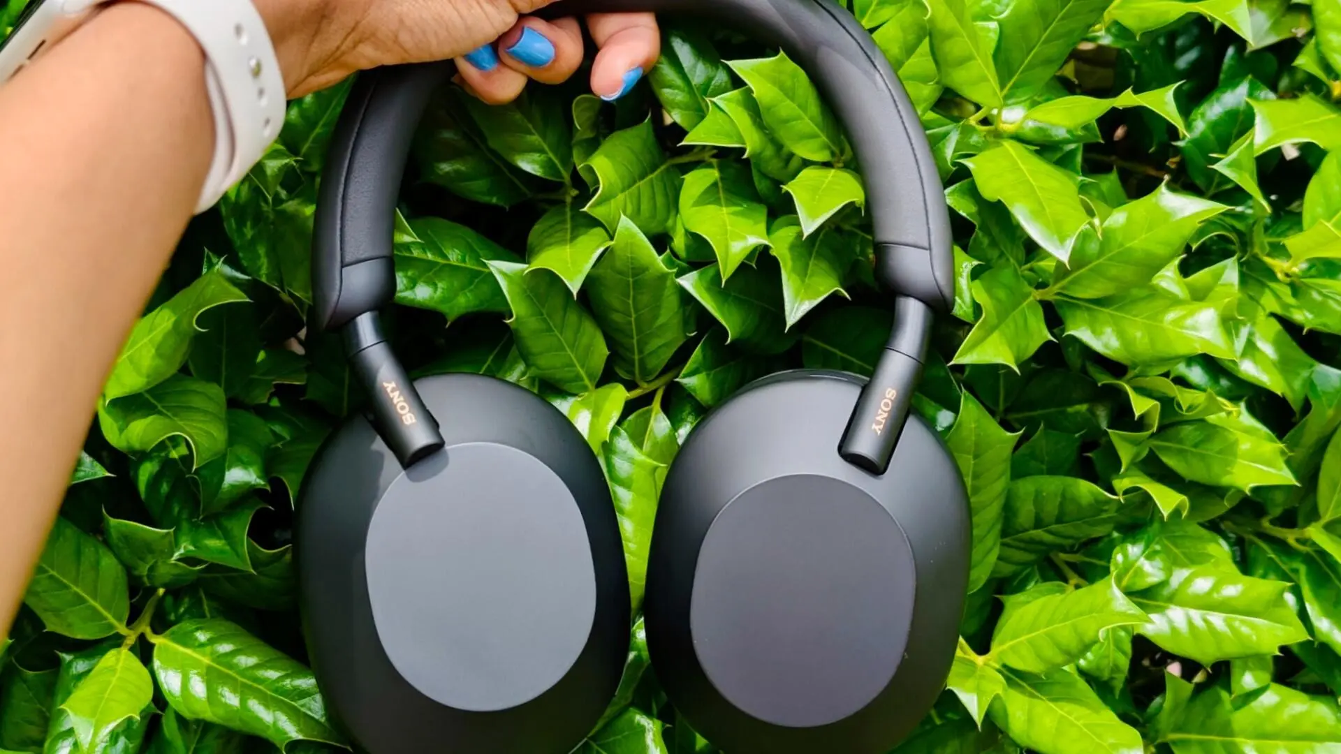 หูฟัง Sony WH-1000XM5 ลดครึ่งราคา ดีล ANC ระดับพรีเมียมที่ไม่ควรมองข้าม