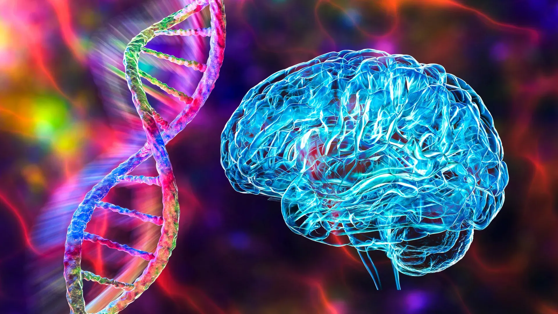 แผนที่สมองโมเลกุล เปิดรหัสพันธุกรรมสมองเพื่อลงล็อกออติสติกและโรคประสาท