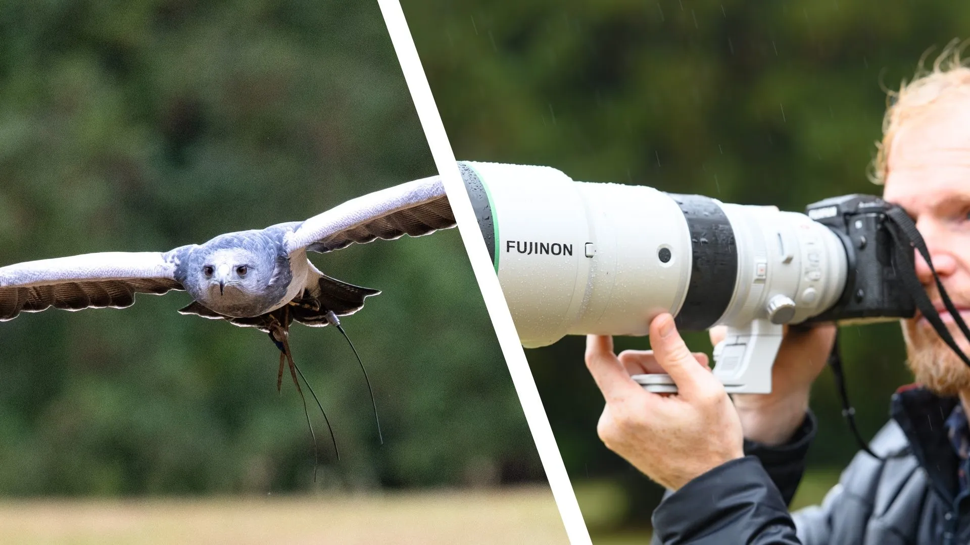 รีวิว Fujinon XF 400mm f/4.5 เลนส์ซูเปอร์เทเลที่ทำให้ X-mount เอาจริงกับสายสัตว์ป่าและกีฬา