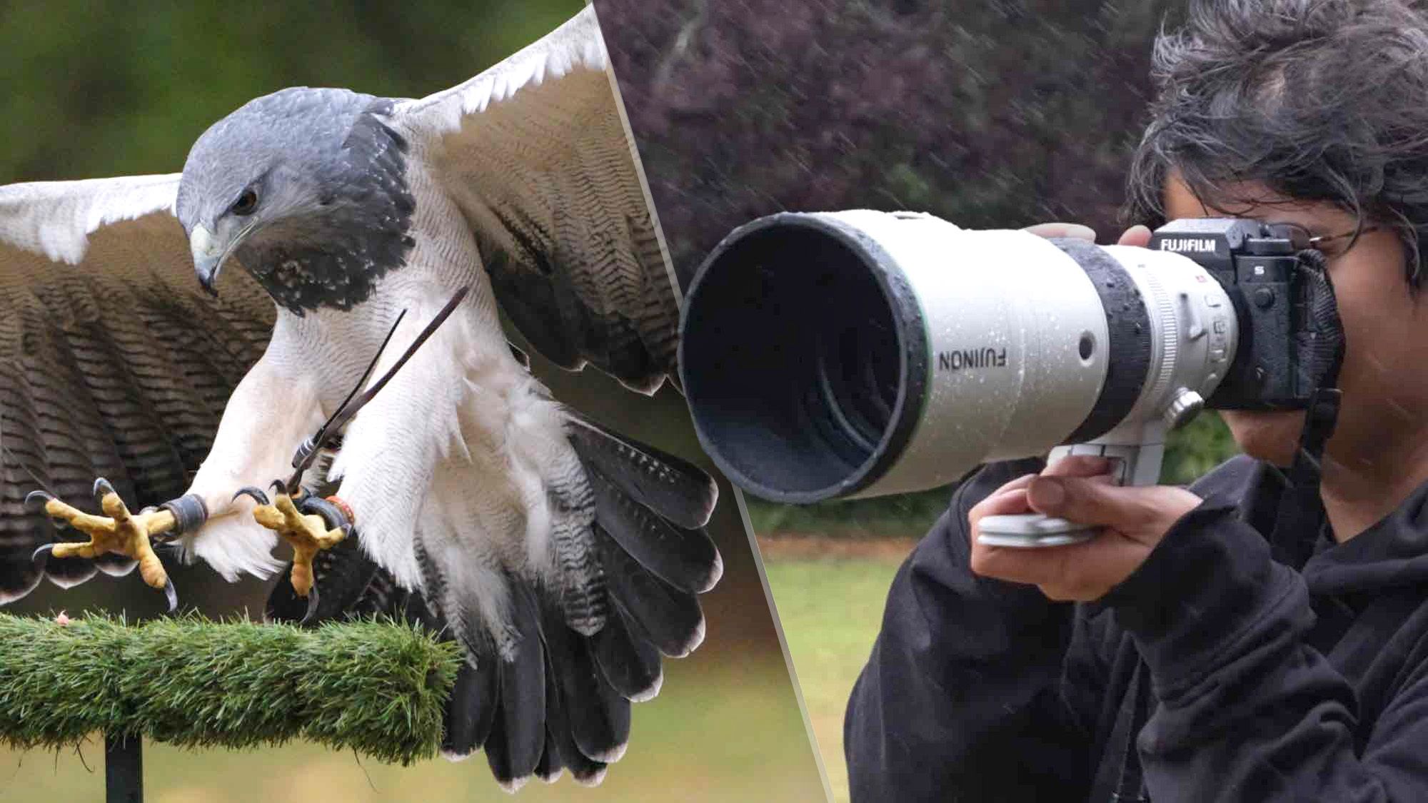 รีวิว Fujinon XF 400mm f/4.5 R LM OIS WR ซูเปอร์เทเลสำหรับสัตว์ป่าที่ X-Mount รอคอย
