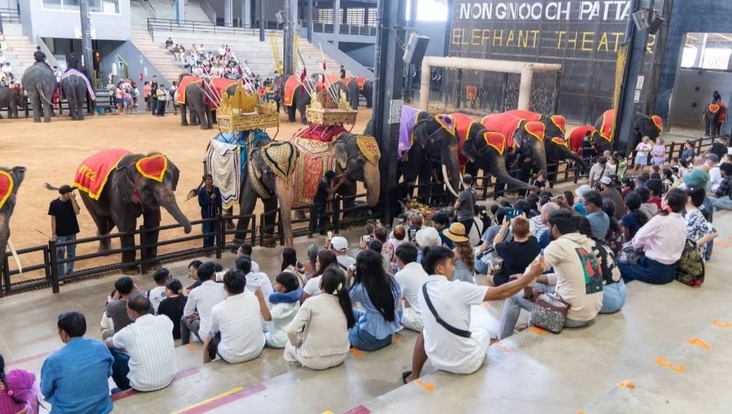 สวนนงนุชพัทยา พลิกภาพเมืองพัทยาสู่จุดหมายท่องเที่ยวครอบครัว