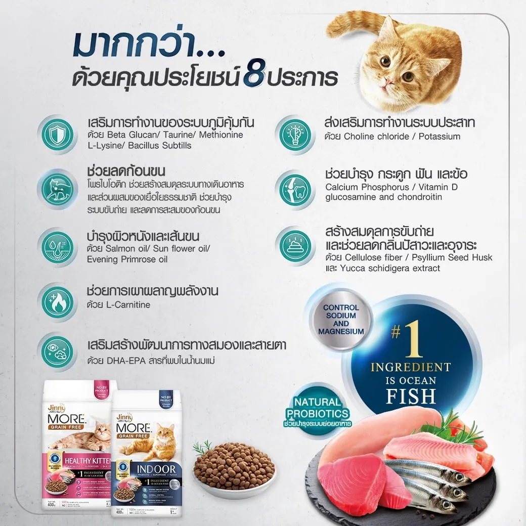 สูตรอาหารสัตว์เลี้ยงเฉพาะทาง เลือกยังไงให้ตรงปัญหาสุขภาพน้องเลี้ยง