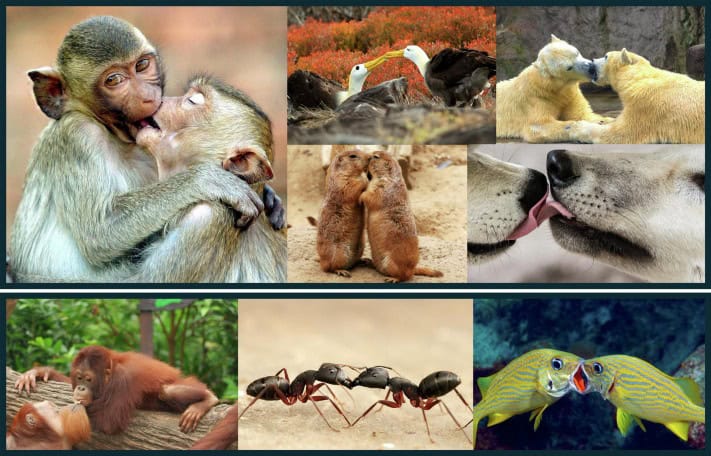 จากนมแมลงสาบถึงเทคนิคสั่งน้ำมูก รางวัล Ig Nobel ที่หัวเราะแล้วต้องคิดต่อ