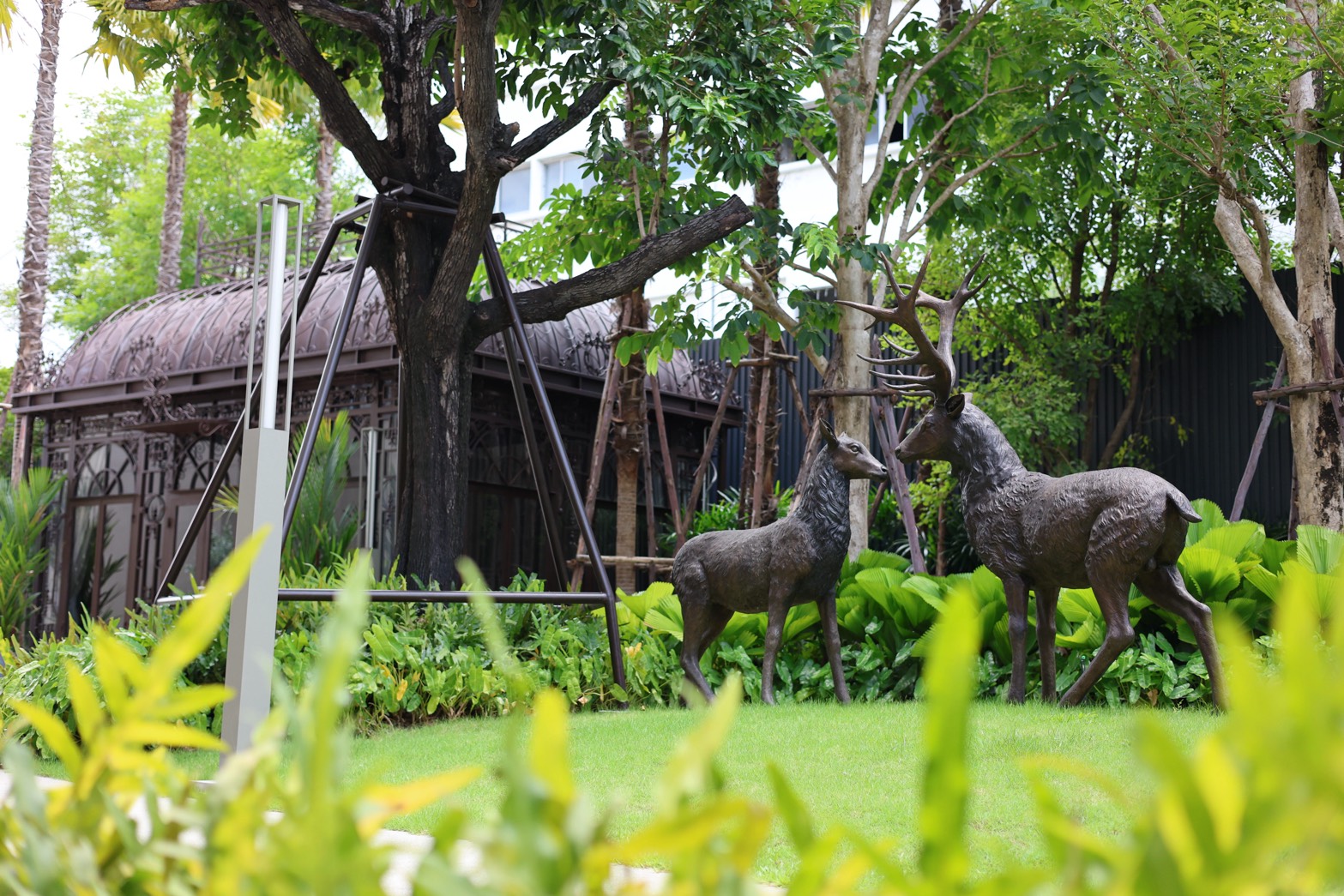 กฎหมายล้าสมัยกับทางตันการลงทุนสุขภาพเชิงพรีเมียม