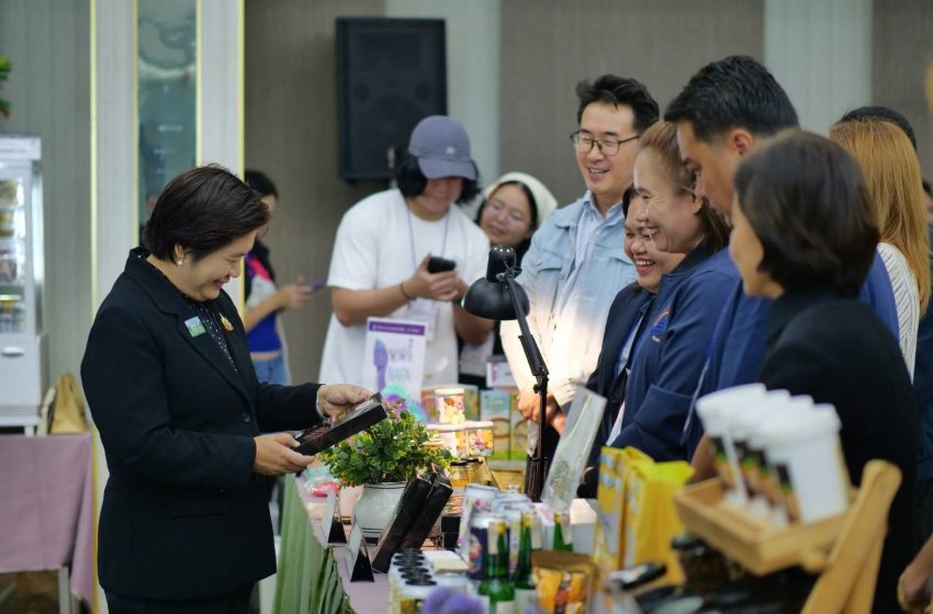 AI การตลาดสำหรับ SME หลักสูตรใหม่ที่พาธุรกิจเล็กไปไกลกว่าการอบรม