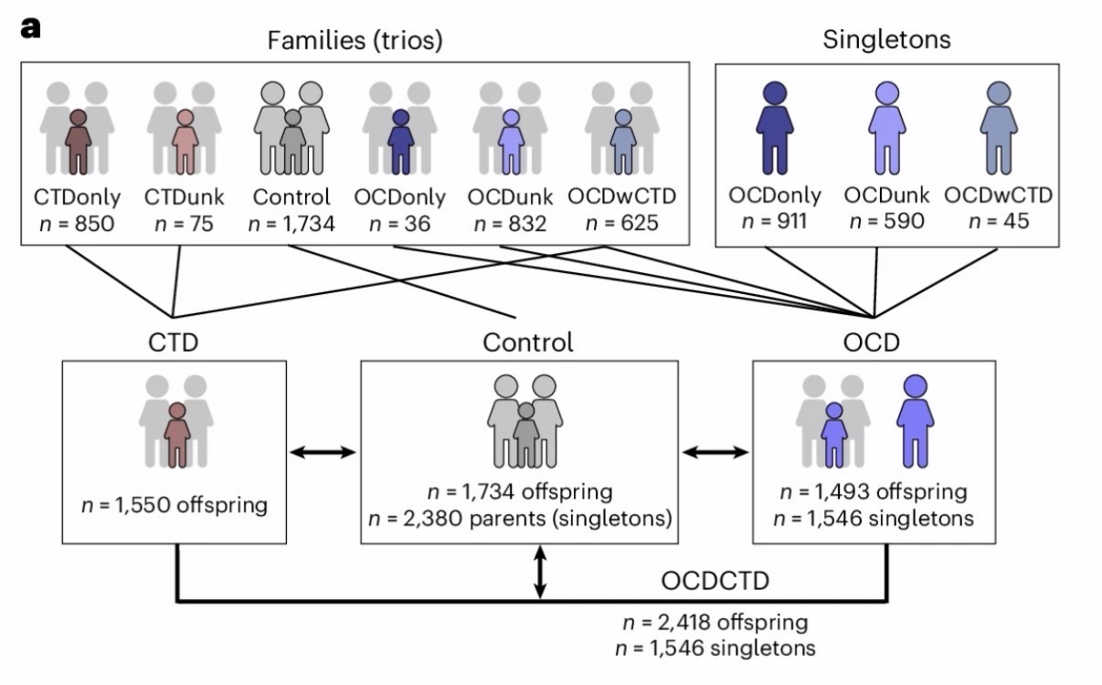สมองแมลงวัน เชื่อมยีนและพฤติกรรมมนุษย์สู่โรคออติซึ่ม OCD และทูเร็ตต์