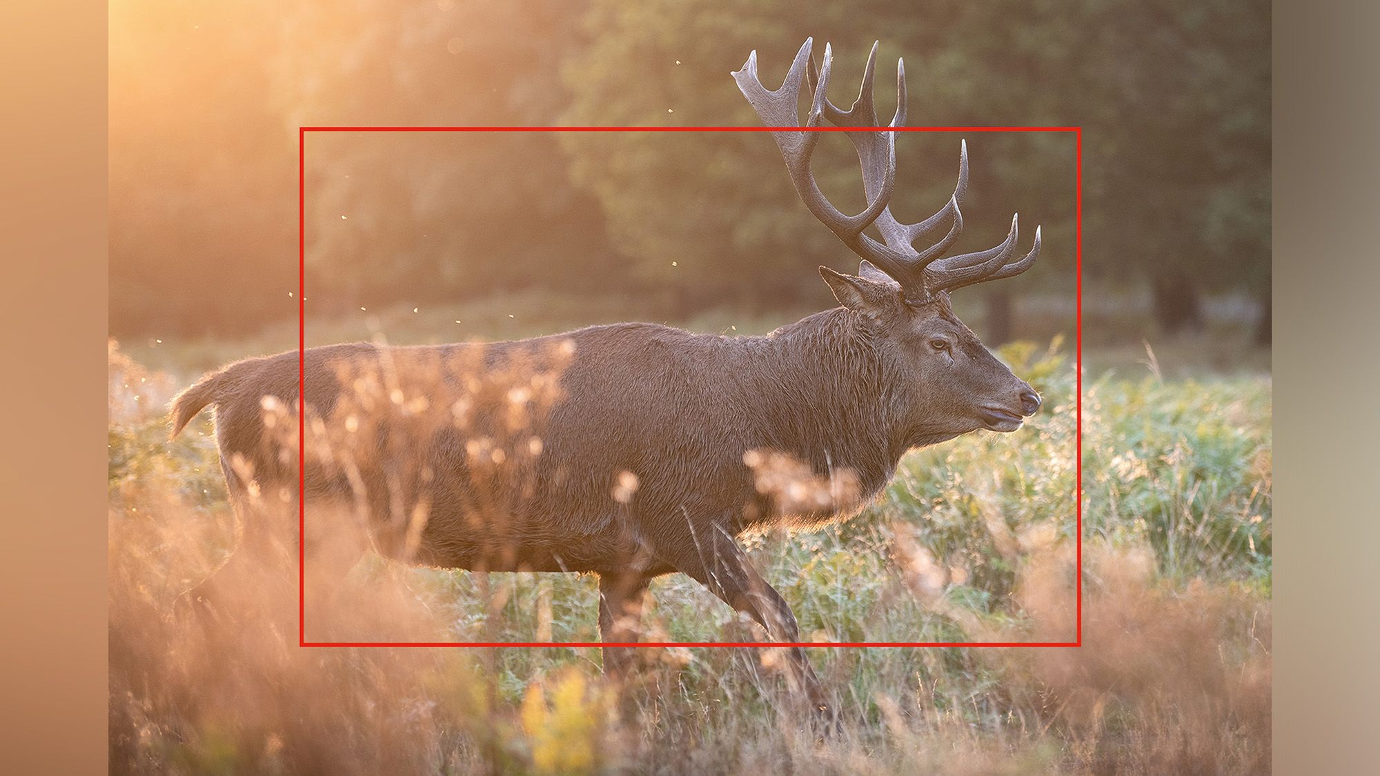 เลิกเถียง APS-C vs Full-Frame คิดแบบช่างภาพเลือกเครื่องมือ