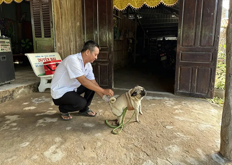 วัคซีนป้องกันโรคพิษสุนัขบ้า: จากโครงการชุมชนถึงหน้าที่เจ้าของ