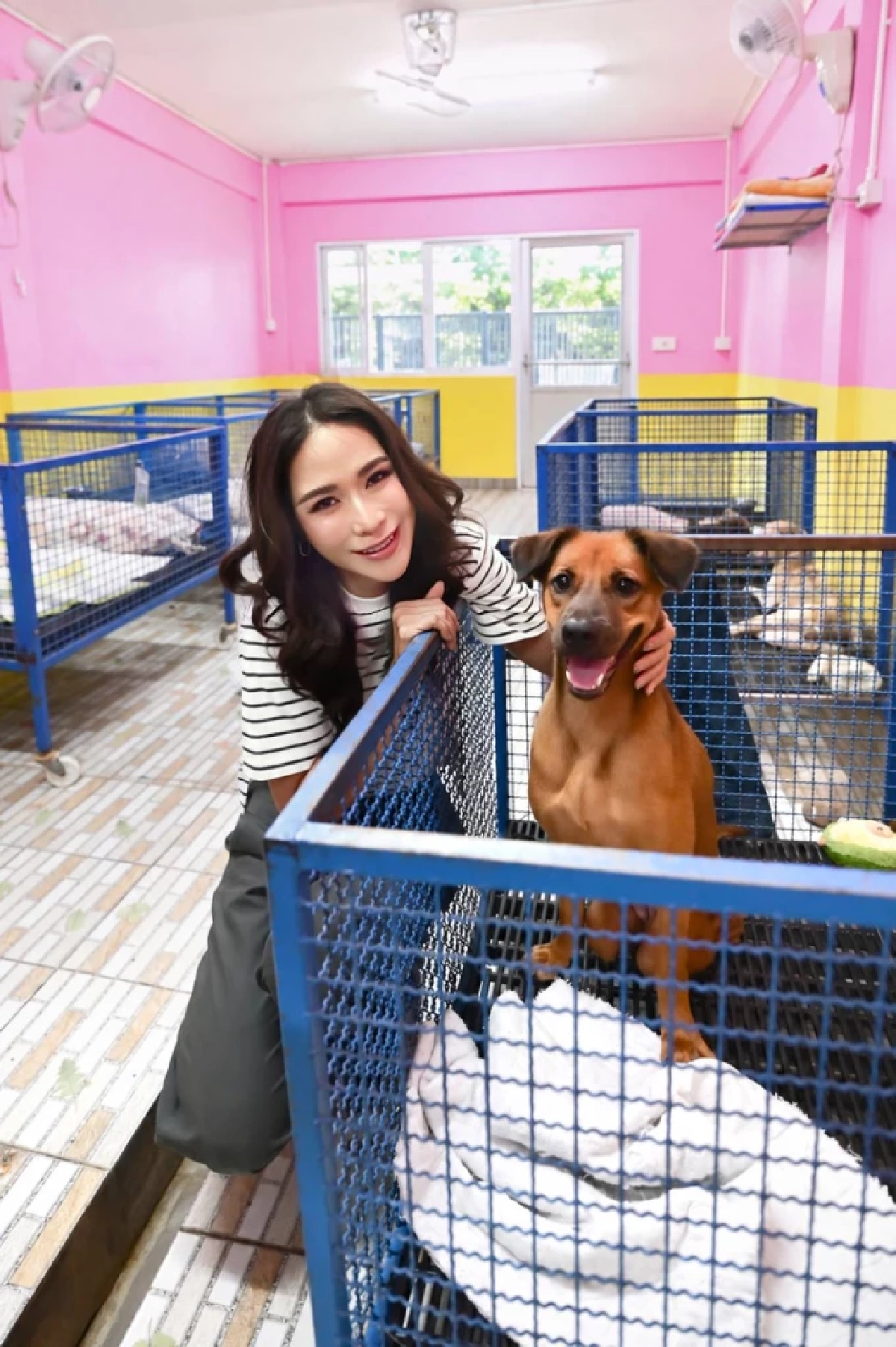 นักแสดงสาวแท็กทีมมูลนิธิเดอะวอยซ์ แคมเปญสวยใจฟูช่วยสัตว์ป่วยไร้บ้าน