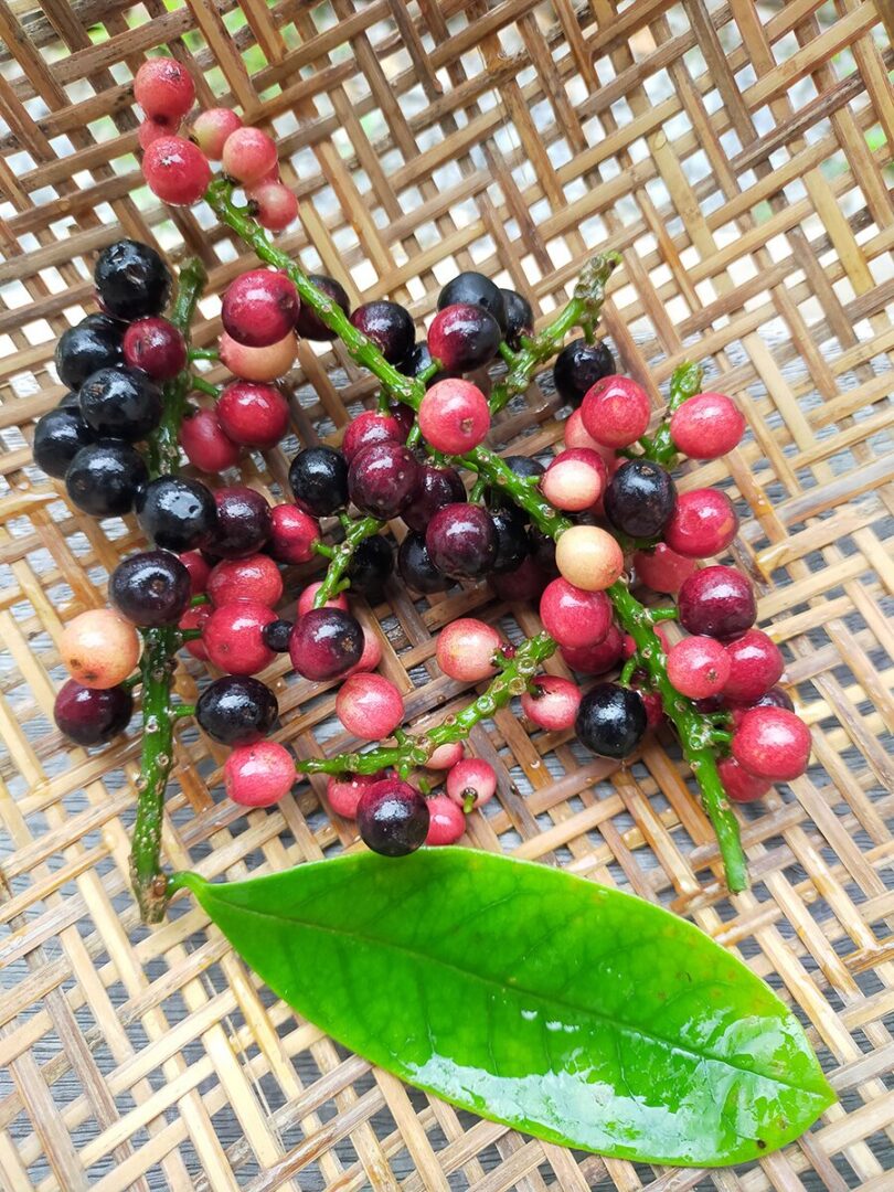ระวังเครื่องดื่มสุขภาพ น้ำผลไม้ 100 เปอร์เซนต์อาจหวานกว่าน้ำอัดลม