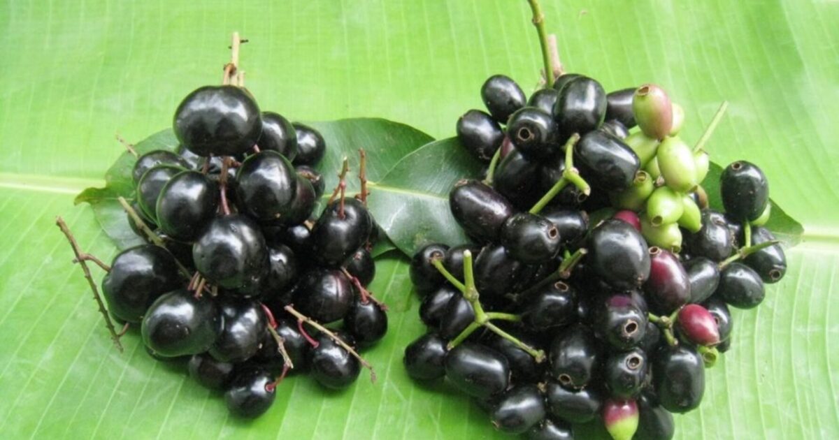ระวังเครื่องดื่มสุขภาพ น้ำผลไม้ 100 เปอร์เซนต์อาจหวานกว่าน้ำอัดลม