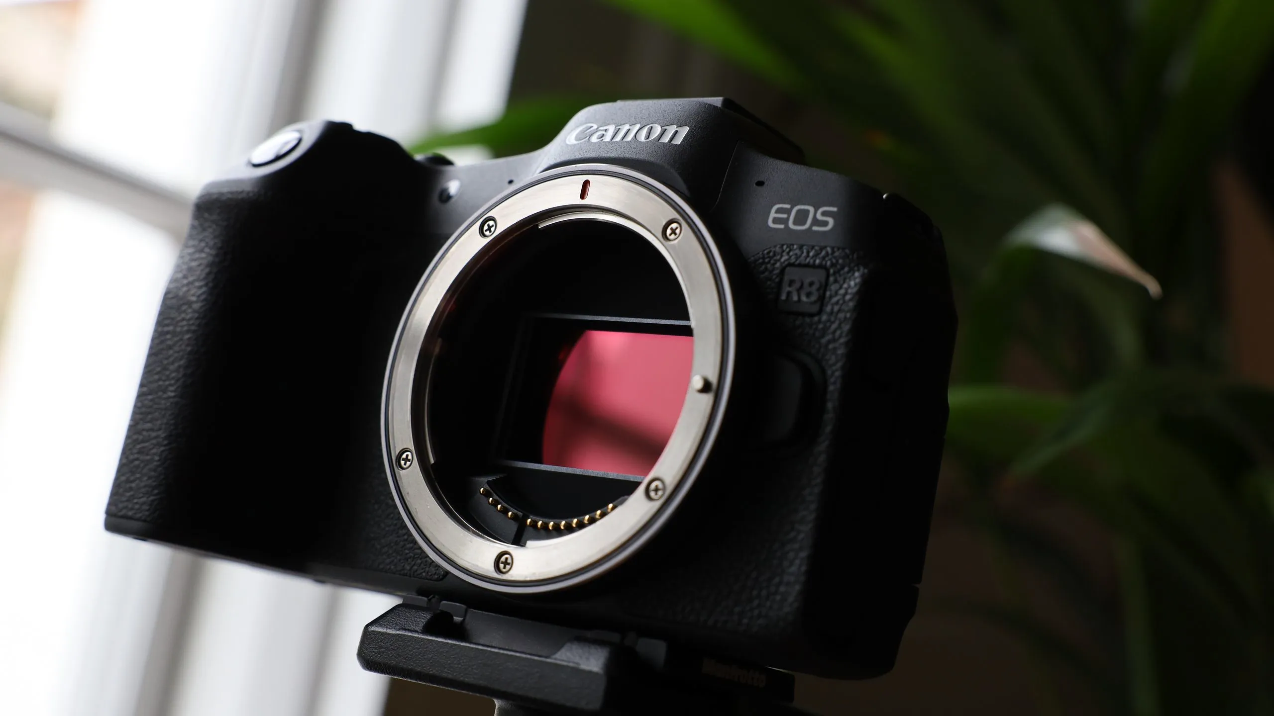 รวมดีลกล้อง mirrorless full-frame ตัวท็อป ลดหนักทั้ง Sony Nikon Canon