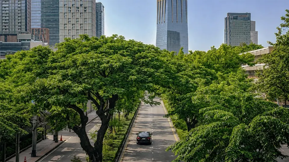 สะพานเขียวกรุงเทพ เปลี่ยนภาพถนนวิทยุสู่ไมล์สีเขียวของเมือง