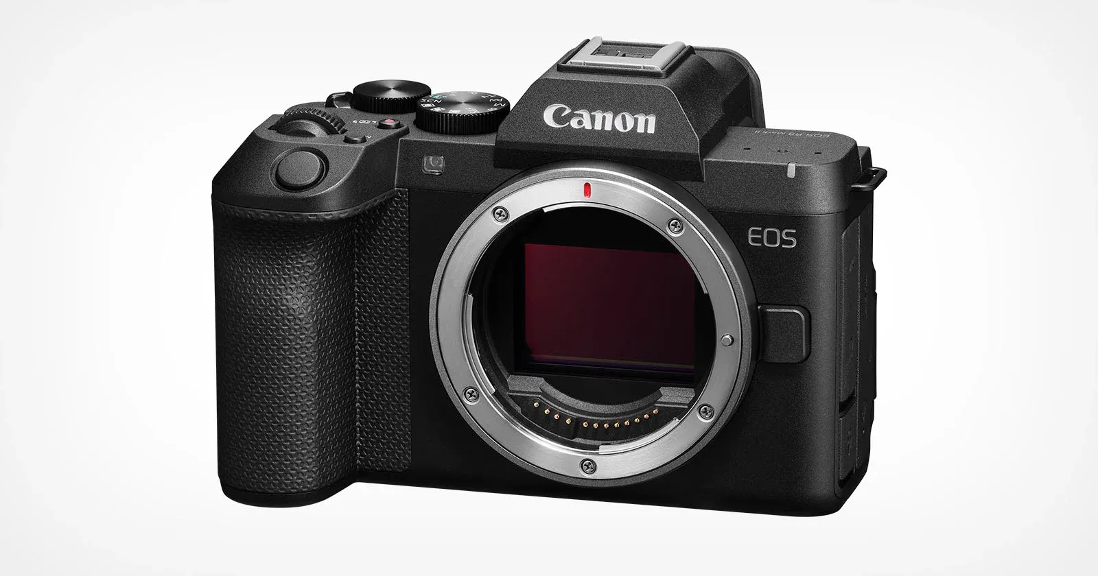 Canon EOS R8 Mark II เพิ่ม IBIS และ 4K60 ควรอัปเกรดจาก R8 หรือไม่