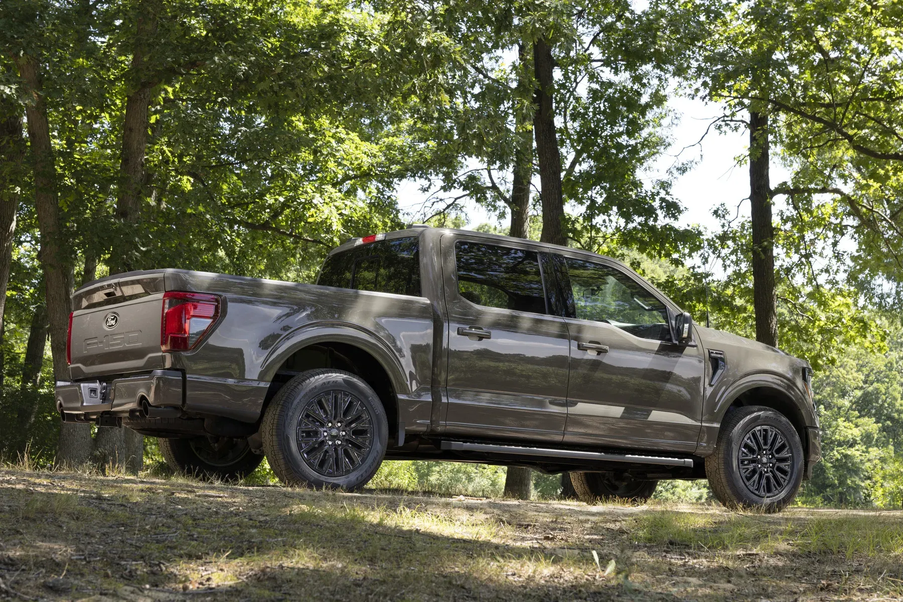 Ford F-150 ใหม่ ยกระดับมืออาชีพด้วยระบบลากไร้มือและรุ่นพิเศษ Carhartt