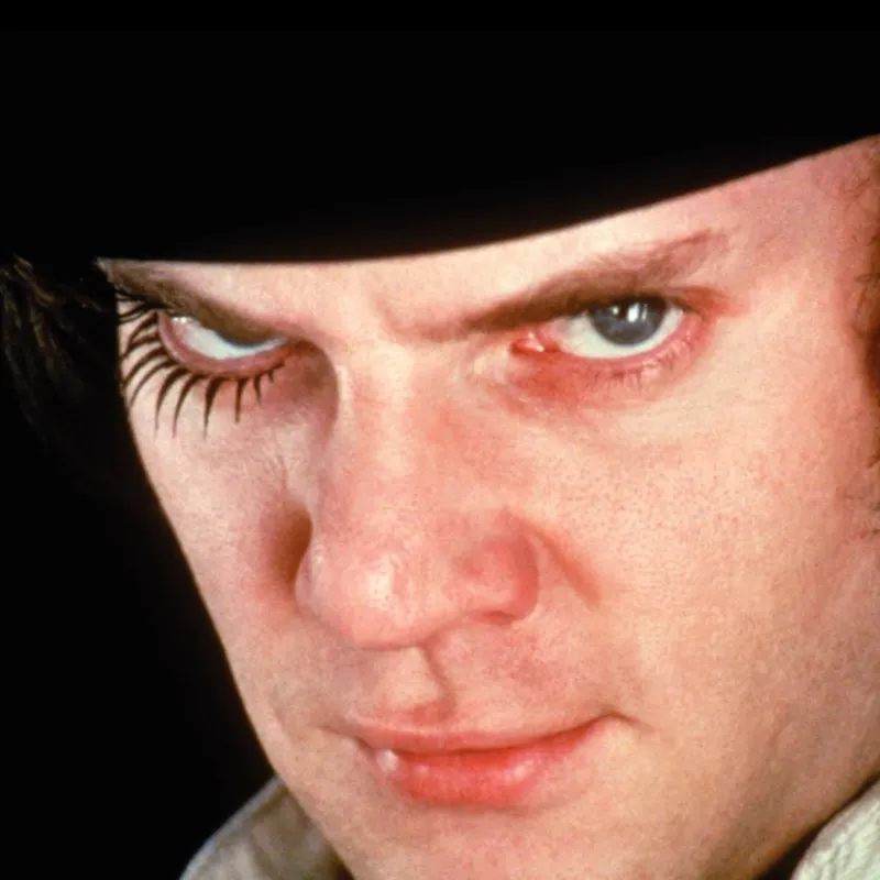 Cult Films Explained: 8 หนังซ่อนเร้นน่าดูของแฟนตัวจริง