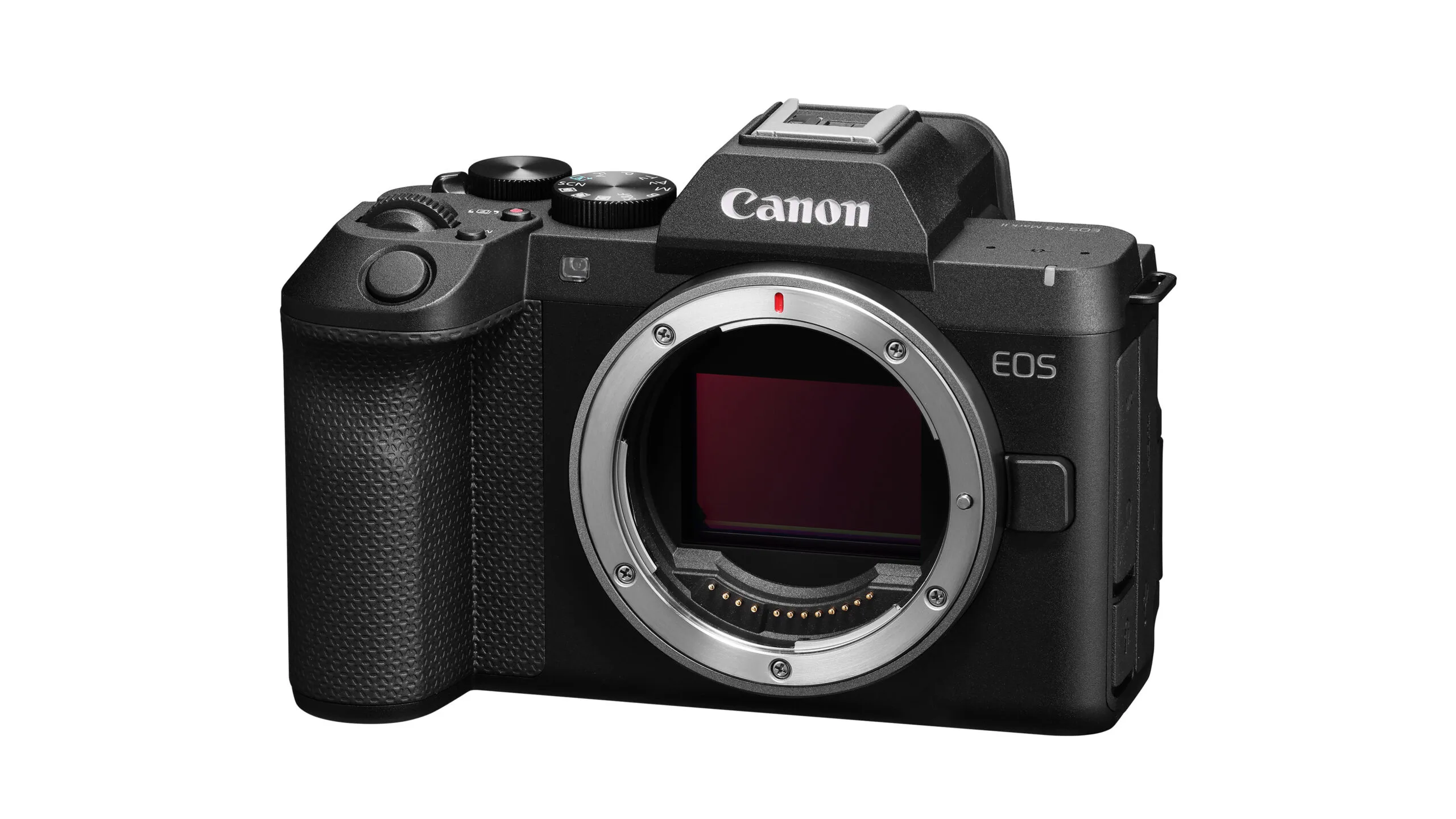 Canon EOS R8 Mark II ฟูลเฟรมมิเรอร์เลสเล็ก เบา แต่จัดเต็มกันสั่น IBIS