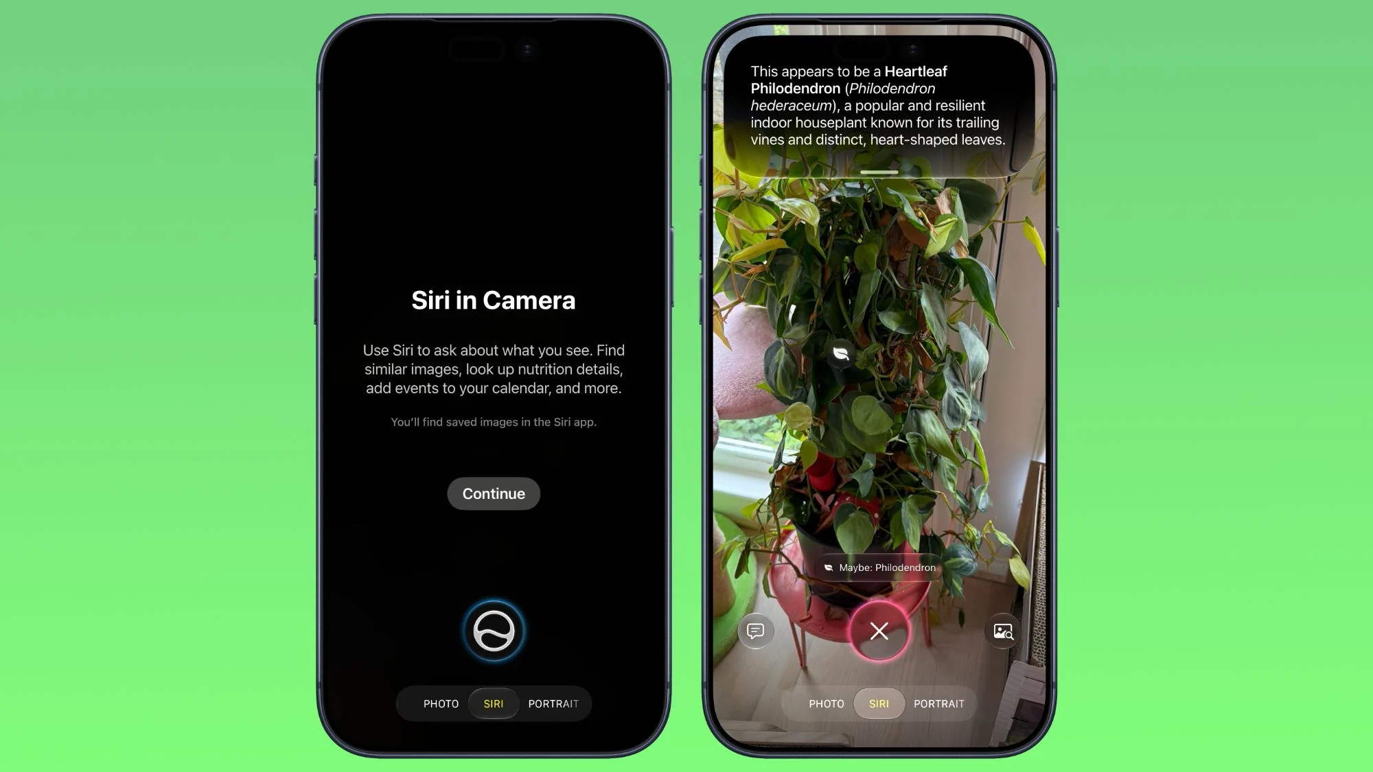 แปลงกล้อง iPhone ให้ฉลาดด้วย Visual Intelligence