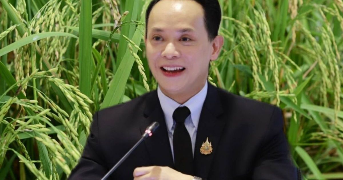 AI และข้อมูลดาวเทียม เปลี่ยนเกมคาดการณ์ผลผลิตและราคาสินค้าเกษตร