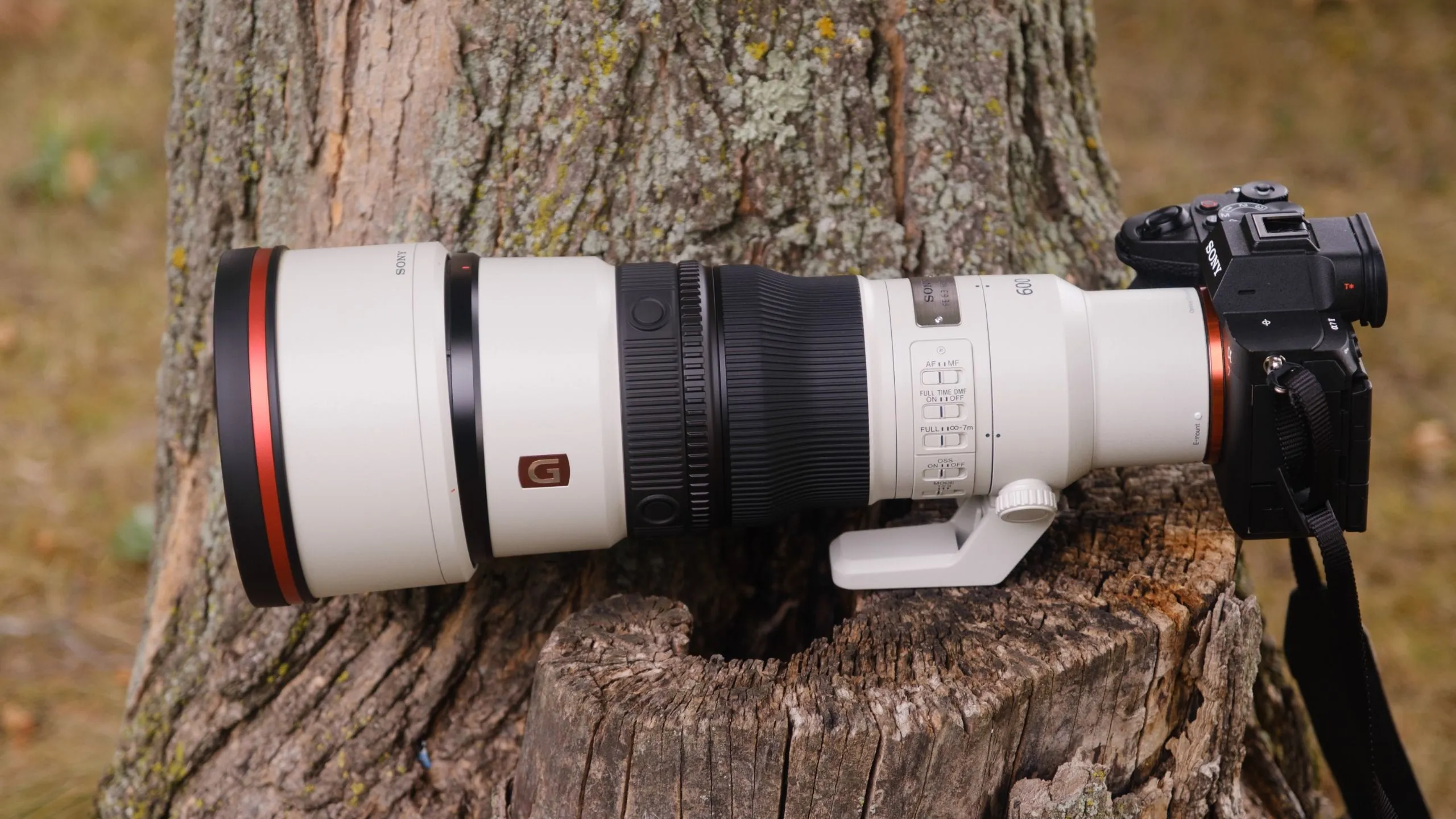 รีวิว Sony 400mm f/4.5 และ 600mm f/5.6 GM OSS เทเลน้ำหนักเบาที่เปลี่ยนกติกาการถ่ายสัตว์ป่า