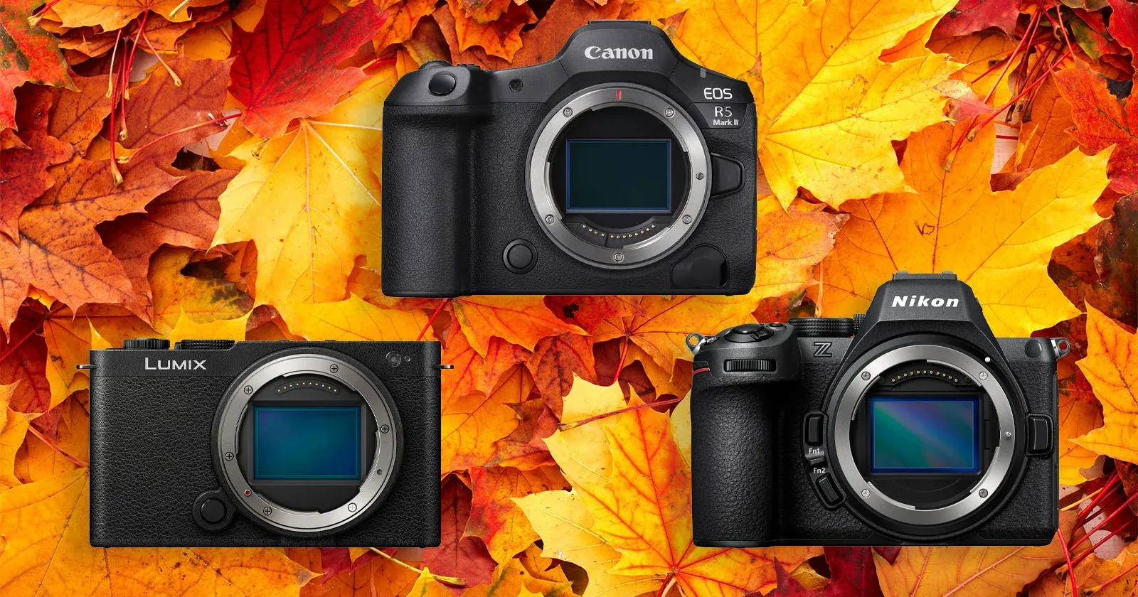 กล้อง full-frame ลดราคาหนัก ดีลเด่นจาก Canon Nikon Sony