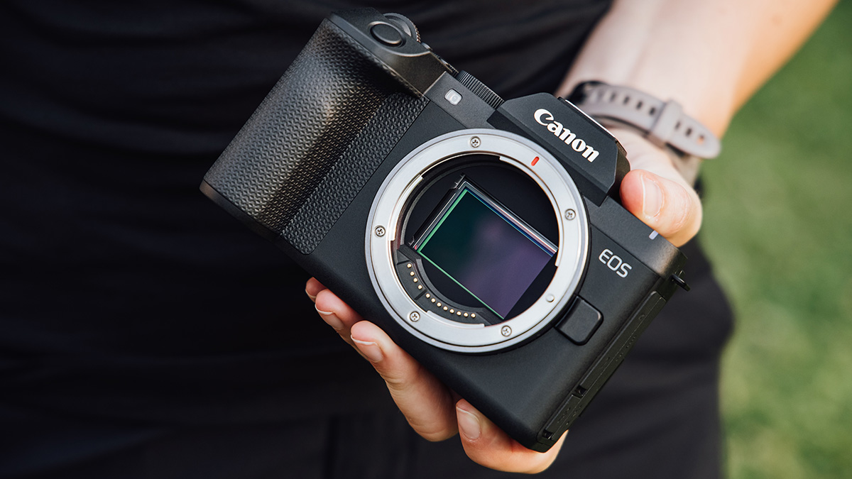 Canon EOS R8 Mark II อัปเกรด IBIS 7.5 สต็อปและ 4K 60p เพื่องานคอนเทนต์ไฮบริด