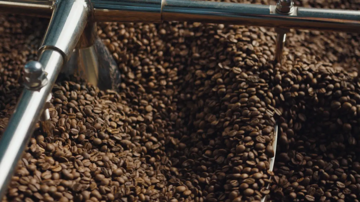 เมล็ดกาแฟ Arabica ท้องถิ่นสู่มาตรฐานสากลด้วยความชื้นและคะแนน Cupping