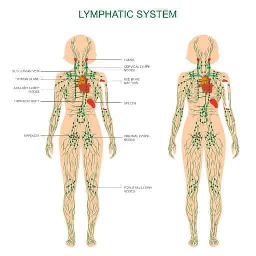 นวดหน้าและบริหารเพื่อยกกระชับด้วย Gua Sha และ Lymphatic Drainage