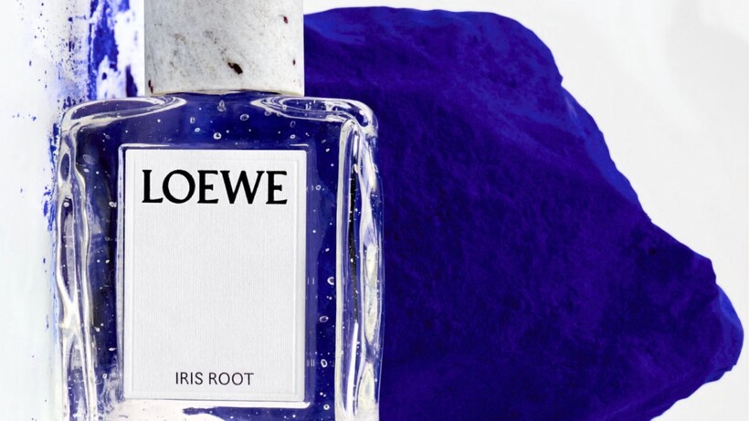 น้ำหอม LOEWE Crafted ใช้แอมเบอร์หนึ่งฐาน สร้างห้ากลิ่นหรูที่ต่างบุคลิก