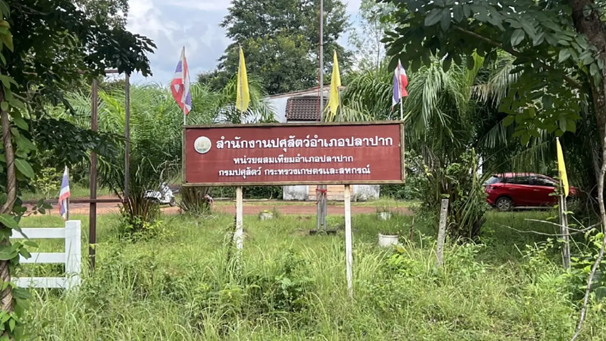 โรคพิษสุนัขบ้า: สิ่งที่เจ้าของต้องรู้เมื่อถูกกัดเพื่อปกป้องครอบครัว
