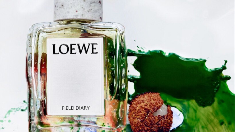 น้ำหอม LOEWE Crafted ใช้แอมเบอร์หนึ่งฐาน สร้างห้ากลิ่นหรูที่ต่างบุคลิก