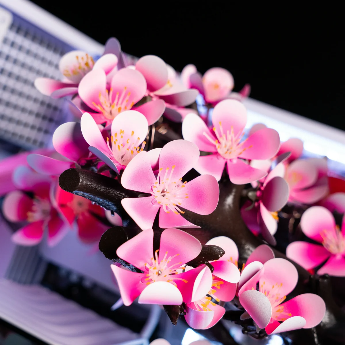 Cherry Bloom และดอกไทเทเนียมในเคสเกมมิง เมื่อความสวยงามปะทะฮาร์ดแวร์ระดับเรือธง