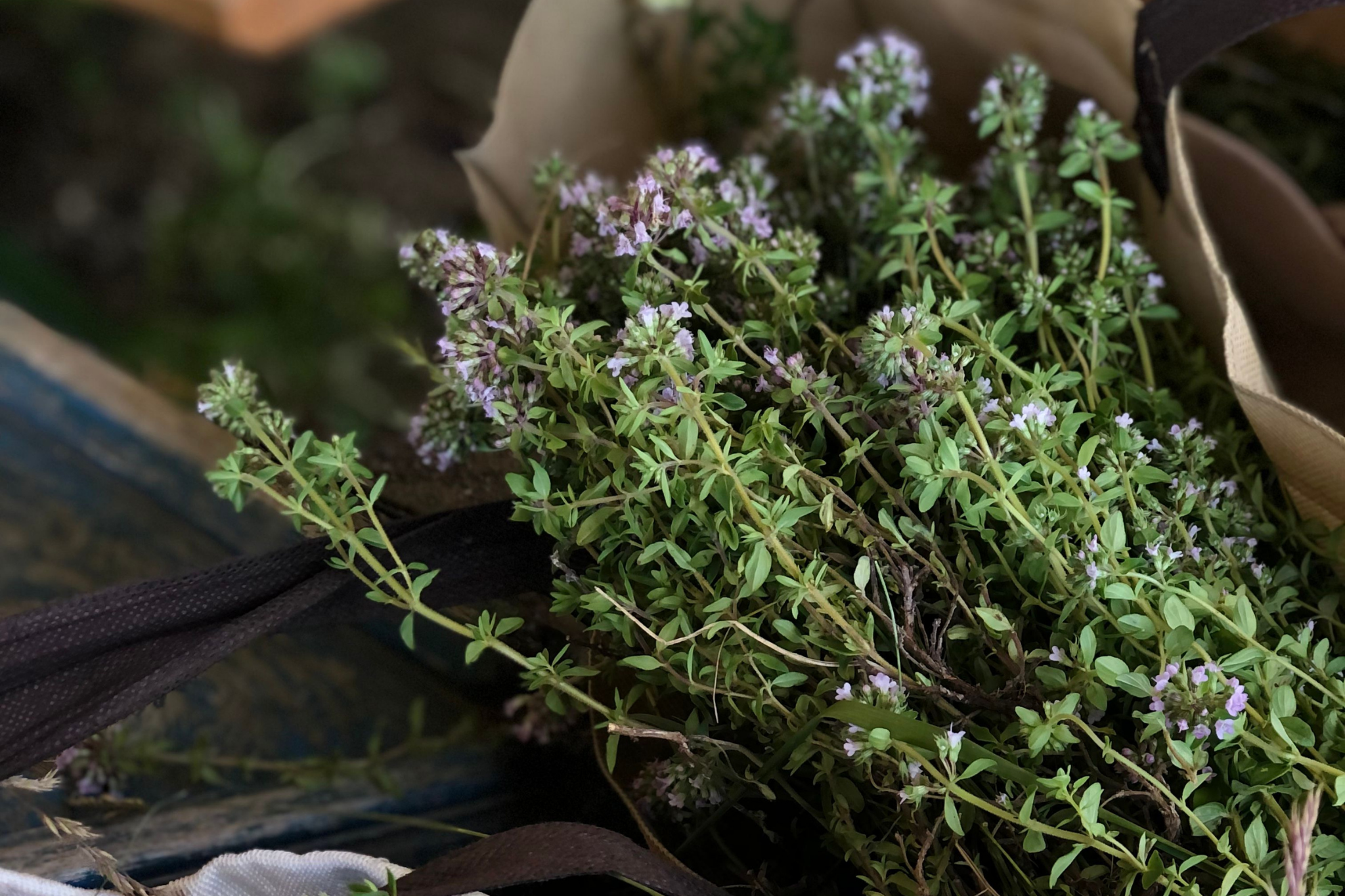 ทำ Thyme Oxymel เรมดี่ธรรมชาติประจำบ้านไว้รับมือฤดูไอจาม