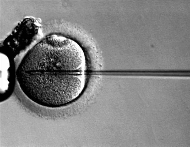 CRISPR แก้ไขยีนเซลล์ต้นกำเนิด ปลดล็อกการรักษามะเร็งเลือดแบบไม่ทำลายภูมิคุ้มกัน