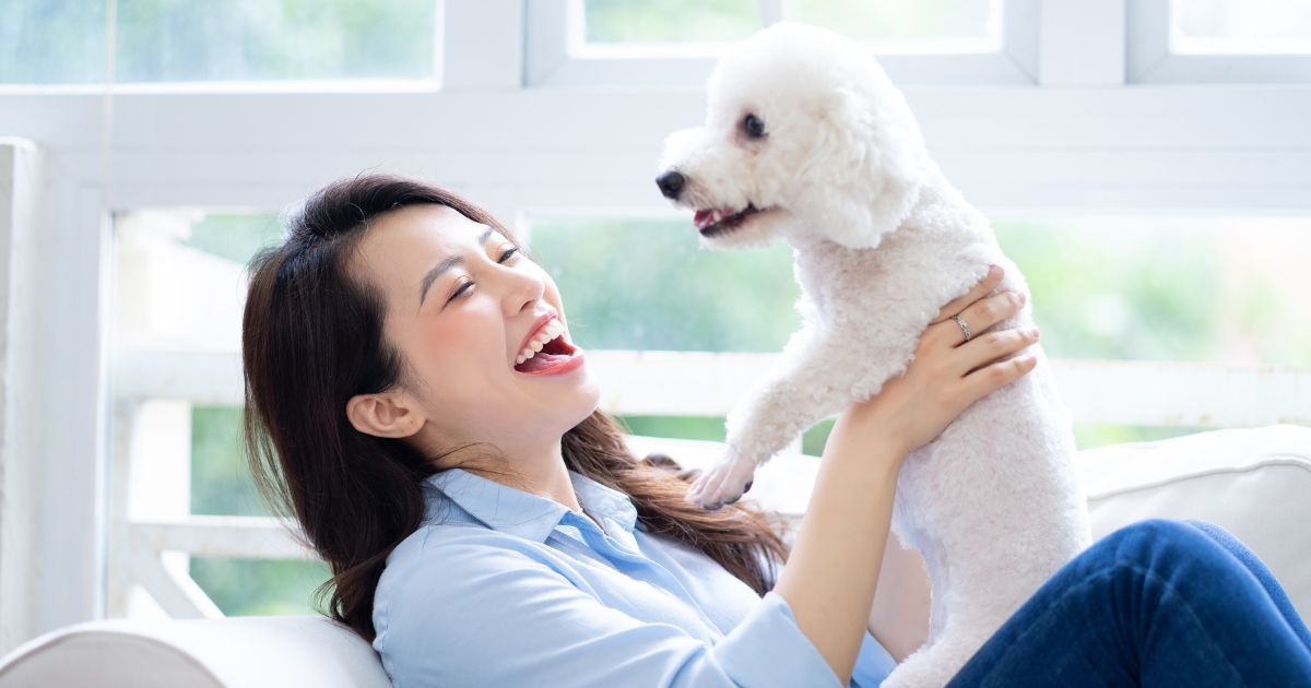 โรคพิษสุนัขบ้า: สิ่งที่เจ้าของต้องรู้เมื่อถูกกัดเพื่อปกป้องครอบครัว