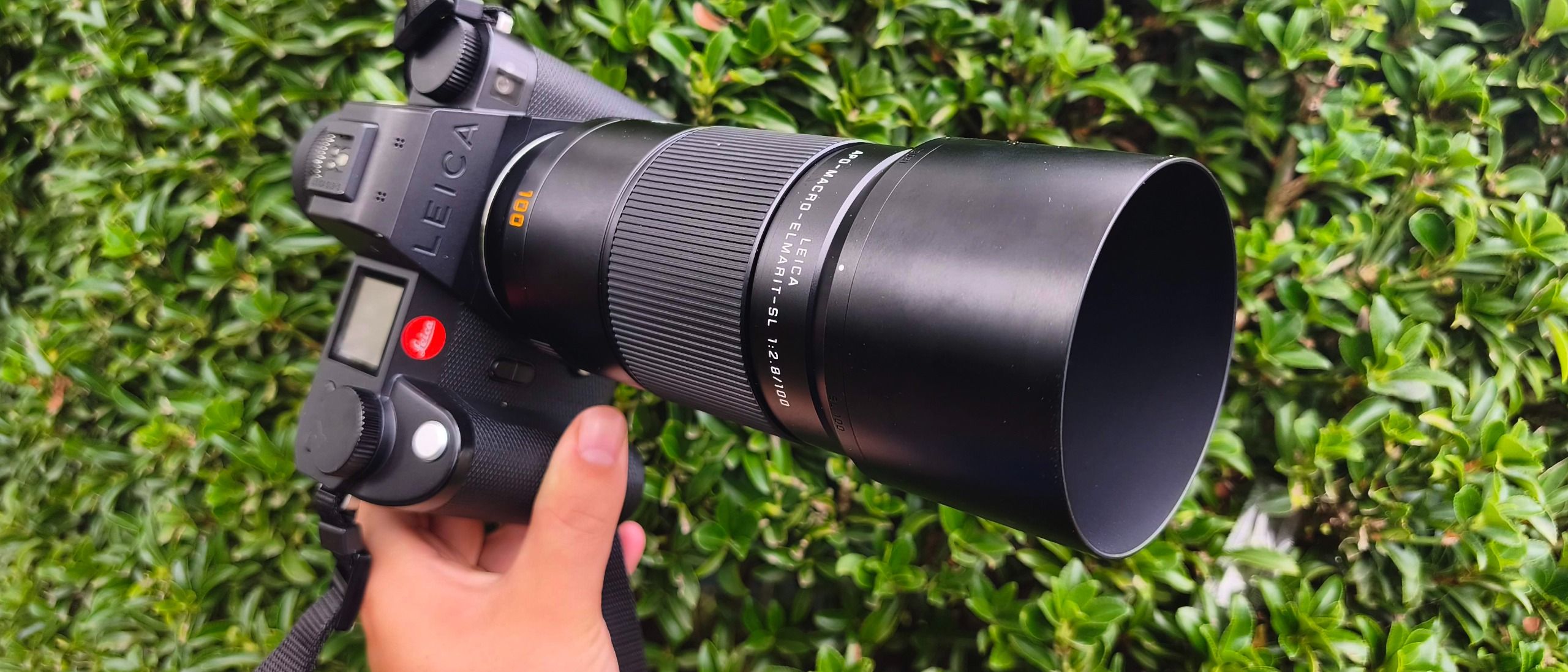 เลนส์แมโครไพรม์ 35mm 30mm 100mm เลือกระยะไหนให้ภาพไลฟ์สไตล์ใกล้ชิด