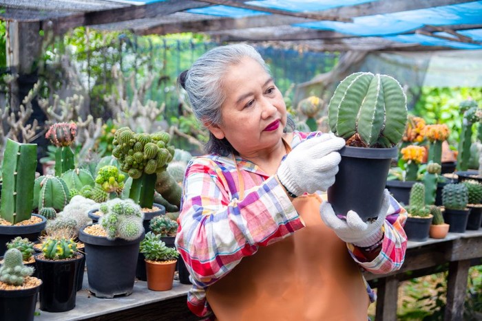 5 นิสัยคนอายุยืนที่เพิ่มทั้งอายุขัยและสุขภาพ