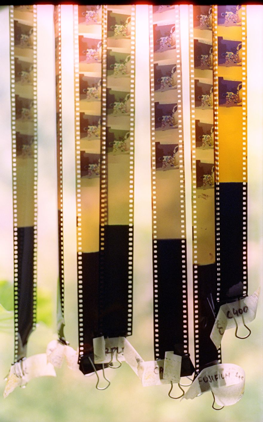 รีวิว Kodak Ektacolor Pro 160 ฟิล์ม Portra ราคาจ่ายน้อยเพื่อโทนวินเทจอบอุ่น