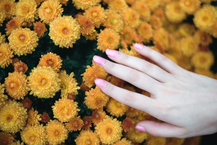 สีเล็บโปรดบอกอะไรเกี่ยวกับตัวตนของคุณ