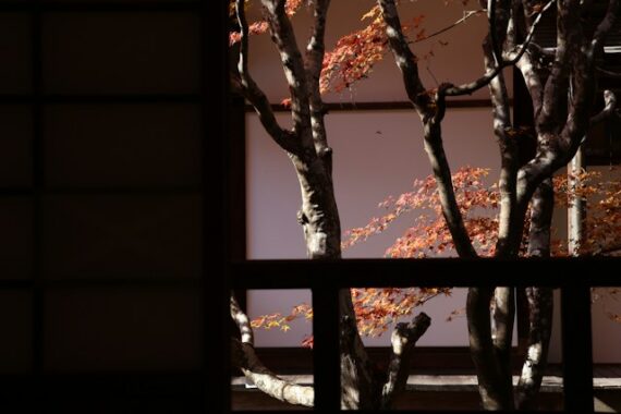 จัดองค์ประกอบภาพฤดูใบไม้ร่วงให้โล่ง สวย ไม่อัดแน่น