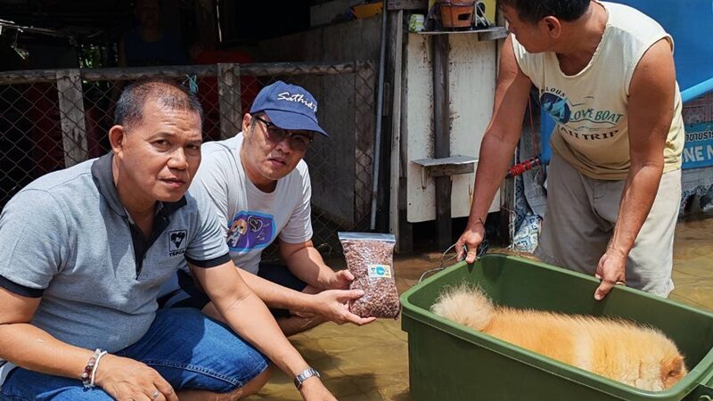 วิธีช่วยเหลือสัตว์เลี้ยงในสถานการณ์ฉุกเฉินจากบทเรียนอุทกภัยเคหะร่มเกล้า