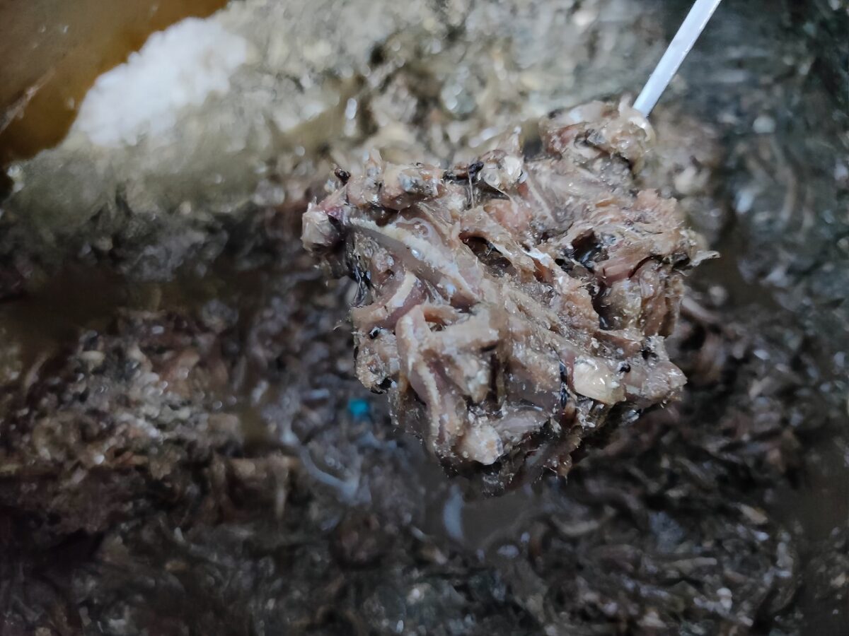 ปลากะตักทางเลือกใหม่ ลดต้นทุนน้ำปลาร้าแต่ไม่ลดคุณภาพ