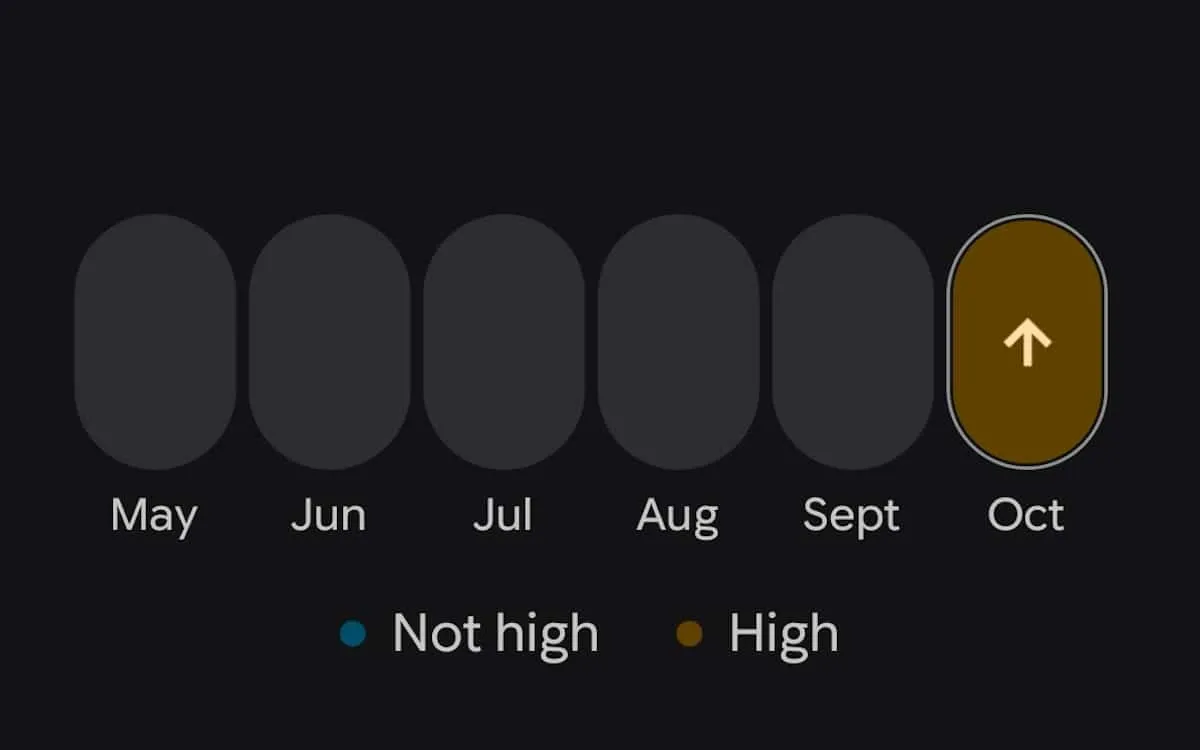 Pixel Watch Health Guardian ก้าวใหม่ของสมาร์ตวอตช์ด้านสุขภาพที่ยังชวนตั้งคำถาม
