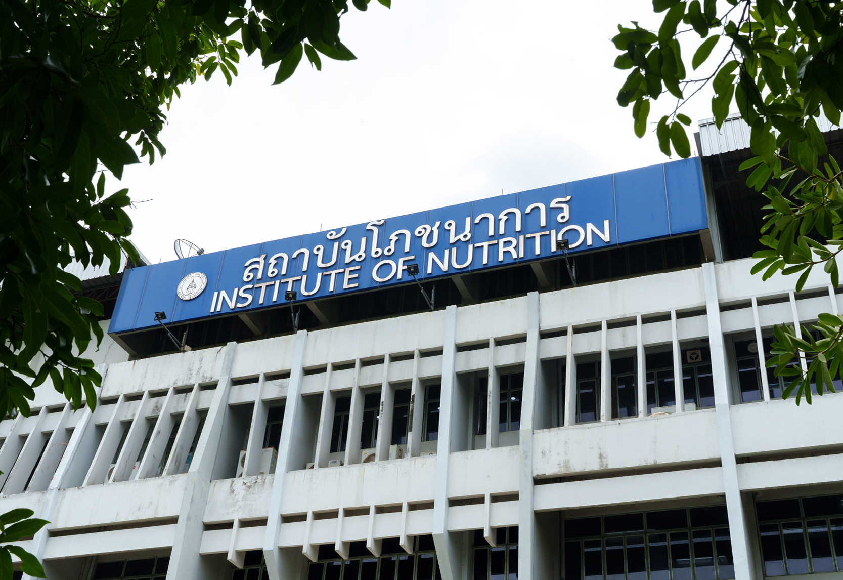โปรตีนจากพืชเกินกว่าการนับกรัม กินหลากหลายให้หัวใจแข็งแรง