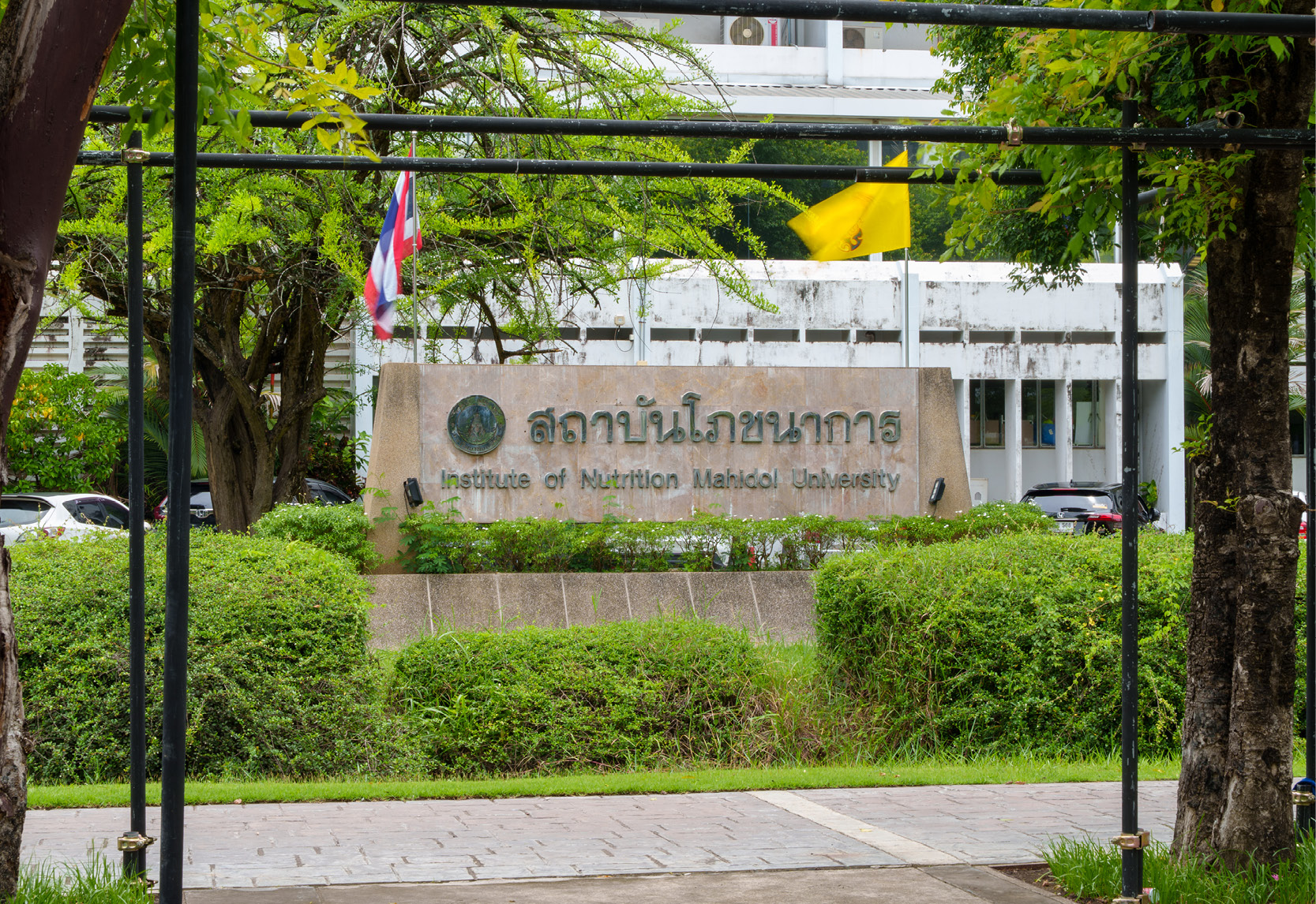 วิตามินบีคอมเพล็กซ์ B1 B6 B12 ประสานพลังเพิ่มพลังงานและดูแลเส้นประสาท