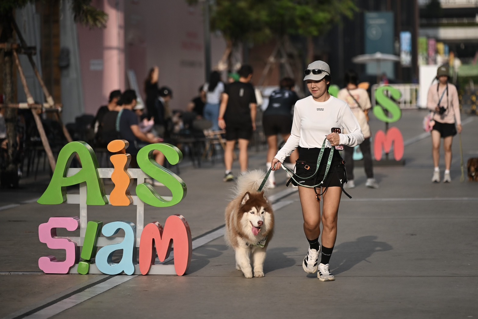 SMART Pets Phone สมาร์ตโฟนสัตว์เลี้ยงที่ทำให้การคิดถึงเปลี่ยนเป็นวิดีโอคอล