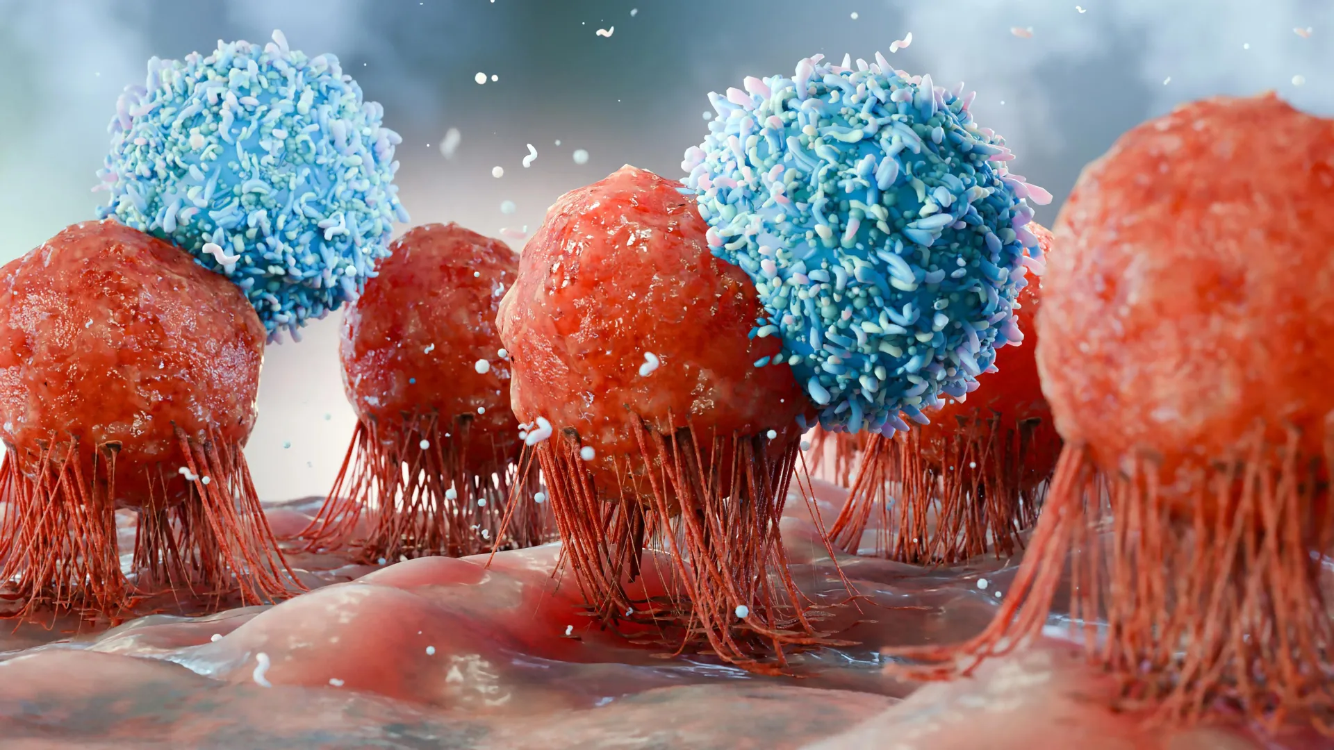 TFEB โปรตีน กุญแจระบบ autophagy เพื่อรีไซเคิลของเสียเซลล์และชะลอวัย