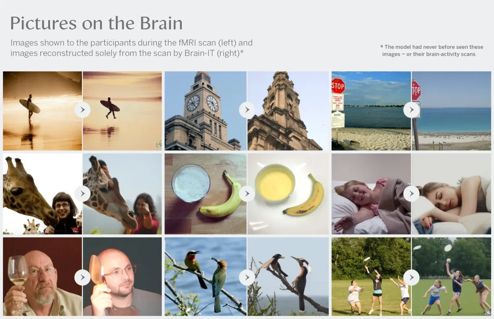 AI สร้างภาพจากสมอง โมเดล Brain-IT ก้าวสำคัญของการมองเห็นกิจกรรมประสาท