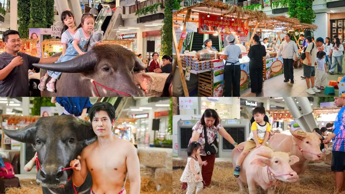 ปิดเทอมสนุกครบครัน 5 กิจกรรมครอบครัวในห้างที่ลูกได้เรียนรู้และรักสิ่งแวดล้อม