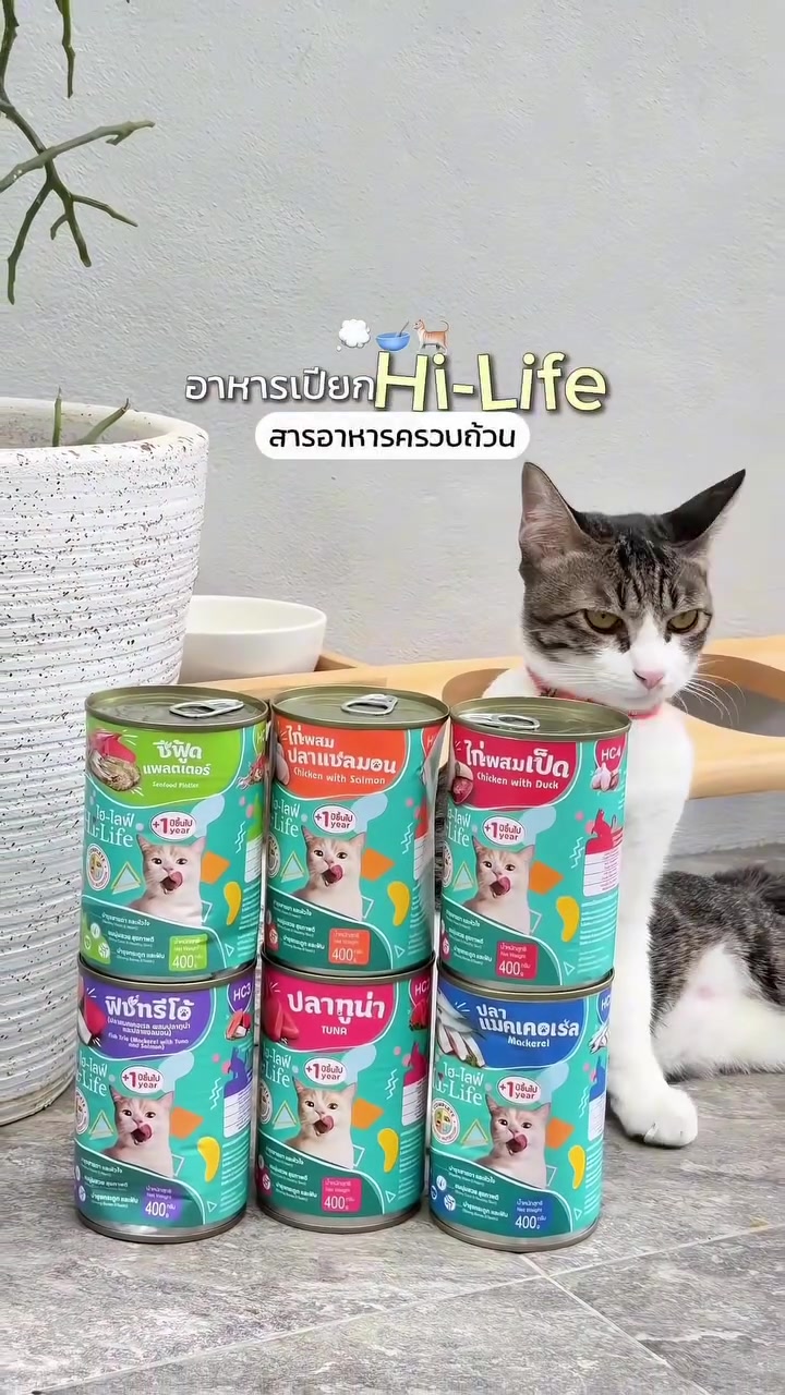 กระป๋องอาหารเปียกแมว Hi-Life ขนาด 400 กรัมเรียงซ้อนกันหกกระป๋อง มีแมวลายสลิดนั่งมองอยู่ด้านหลัง